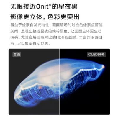 小米电视6 OLED 4KHDR 4.6mm超薄全面屏 MEMC运动补偿 3+32GB 远场语音 护眼教育平板电视机