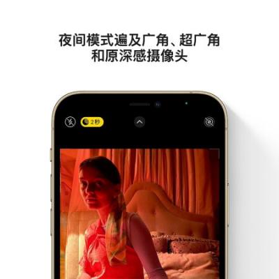 苹果 Apple iPhone12Pro (A2408) 支持移动联通电信5G 双卡双待手机