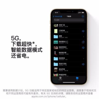 苹果 Apple iPhone12Pro (A2408) 支持移动联通电信5G 双卡双待手机