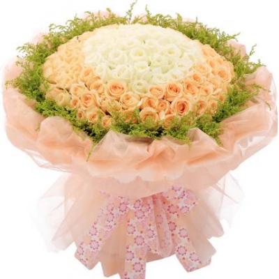 33朵白玫瑰+66朵香槟玫瑰花束