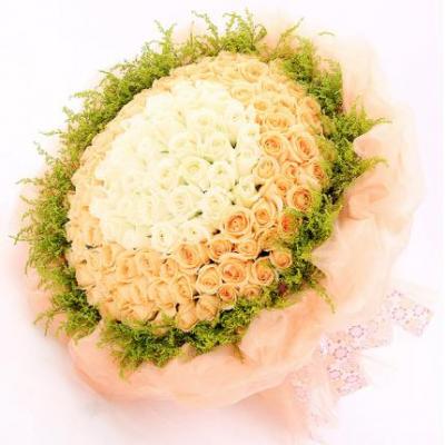 33朵白玫瑰+66朵香槟玫瑰花束