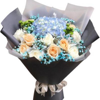 6朵香槟玫瑰+5朵白玫瑰+1朵蓝色绣球花束 同城鲜花配送