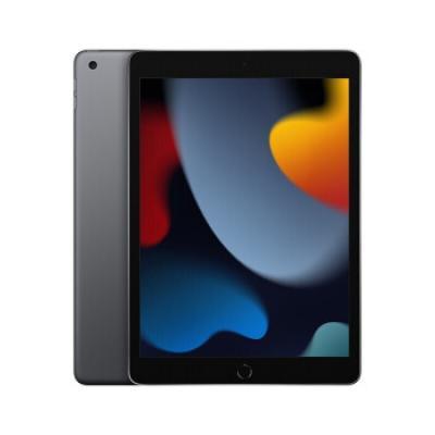 apple ipad9代21款 256GB 灰色 成色靓大全套