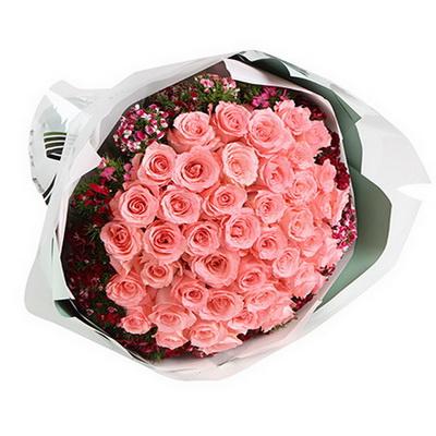 51枝戴安娜粉玫瑰花束 同城鲜花配送