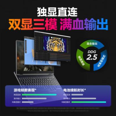 联想拯救者Y7000P 15.6英寸电竞游戏笔记本电脑(i5-12500H/16G/512G/2.5K超高清/165Hz/高色域/满血RTX3050Ti光追独显)
