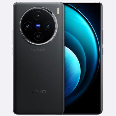 vivo X100 5G拍照手机 蓝晶x天玑9300旗舰芯片/5000mAh蓝海电池/蔡司超级长焦/120W双芯闪充