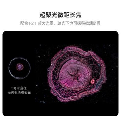 华为HUAWEI Pura 70 Pro+ 超高速风驰闪拍 超聚光微距长焦 双卫星通信 华为P70智能手机